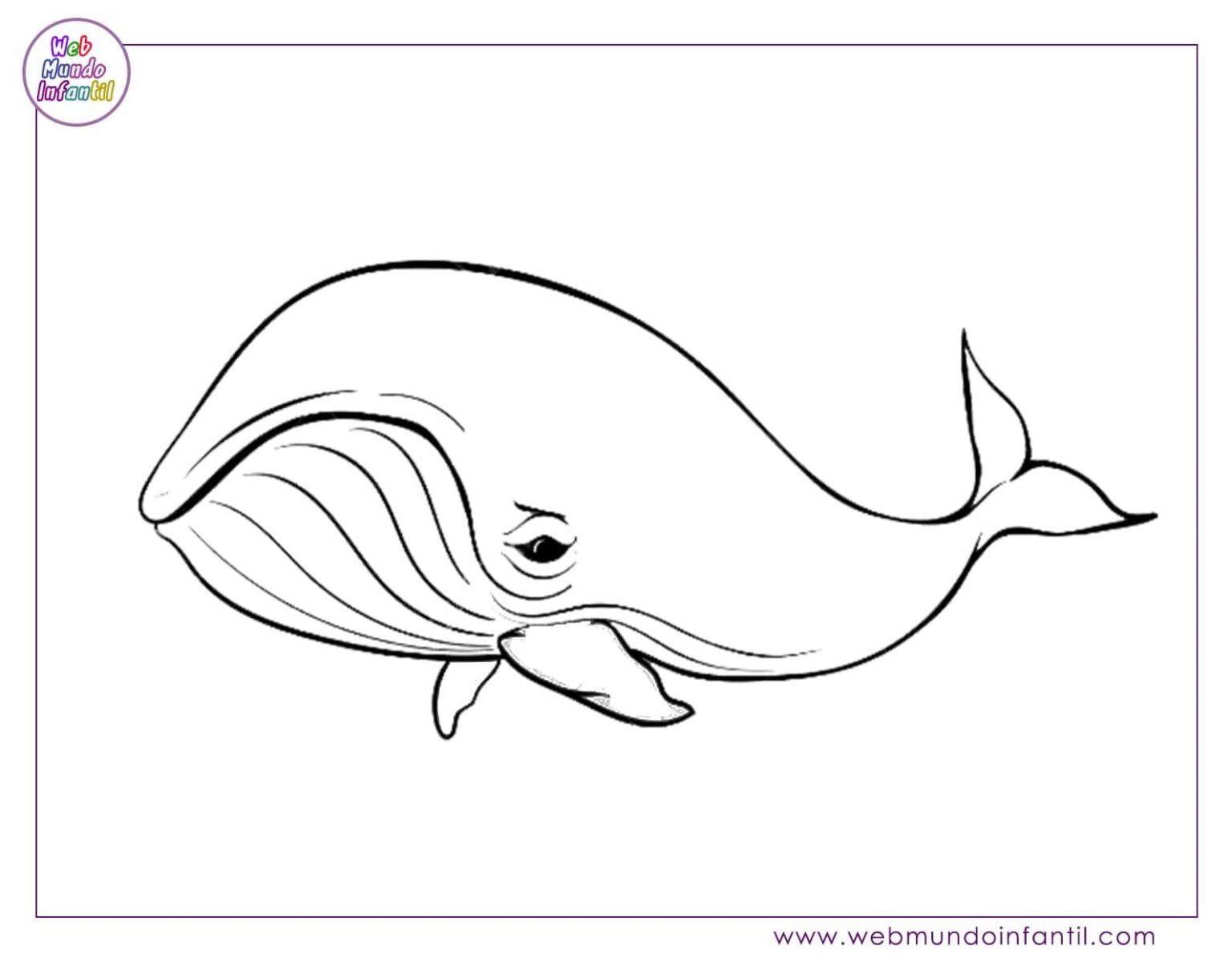 Dibujos de animales marinos para colorear e imprimir