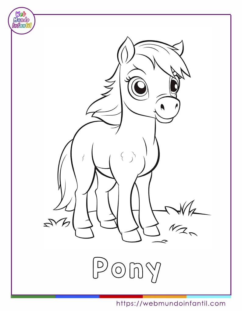 Pony